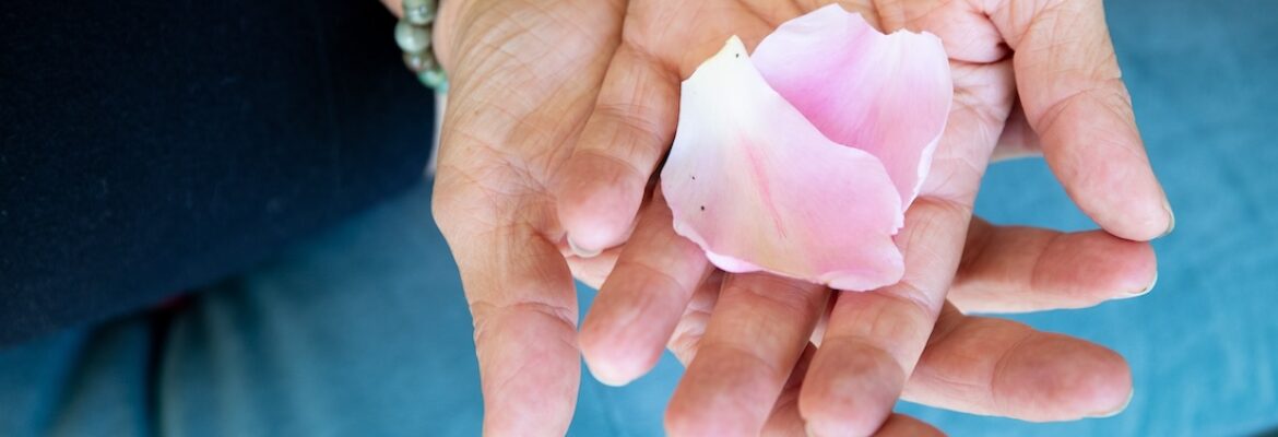 Laura Shaw RTC #4032